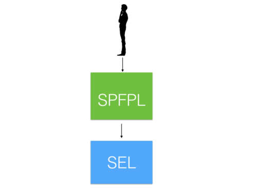 SPFPL , Acquérir des titres de société ? Quel est l' intérêt ?