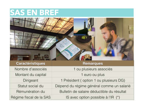 SAS société par actions simplifiées